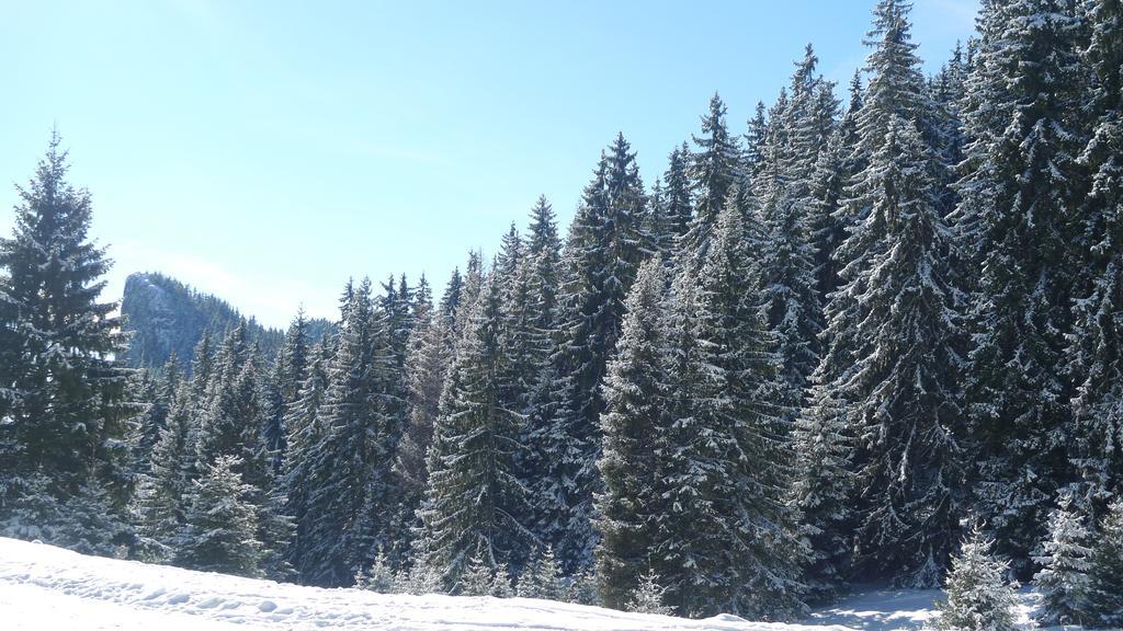 Hotel Elitza Pamporovo Dış mekan fotoğraf