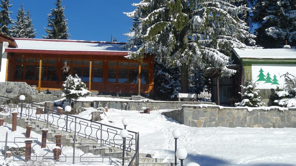Hotel Elitza Pamporovo Dış mekan fotoğraf