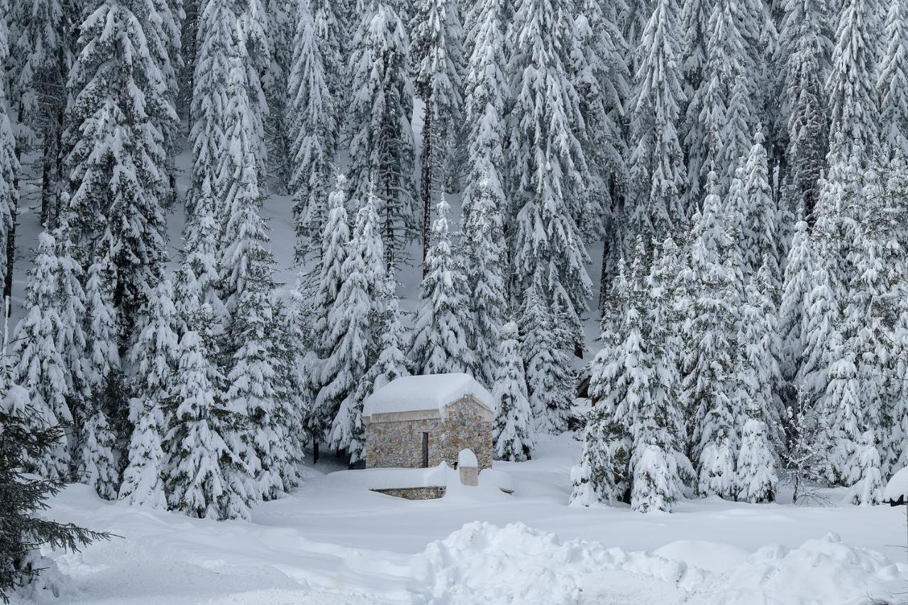 Hotel Elitza Pamporovo Dış mekan fotoğraf